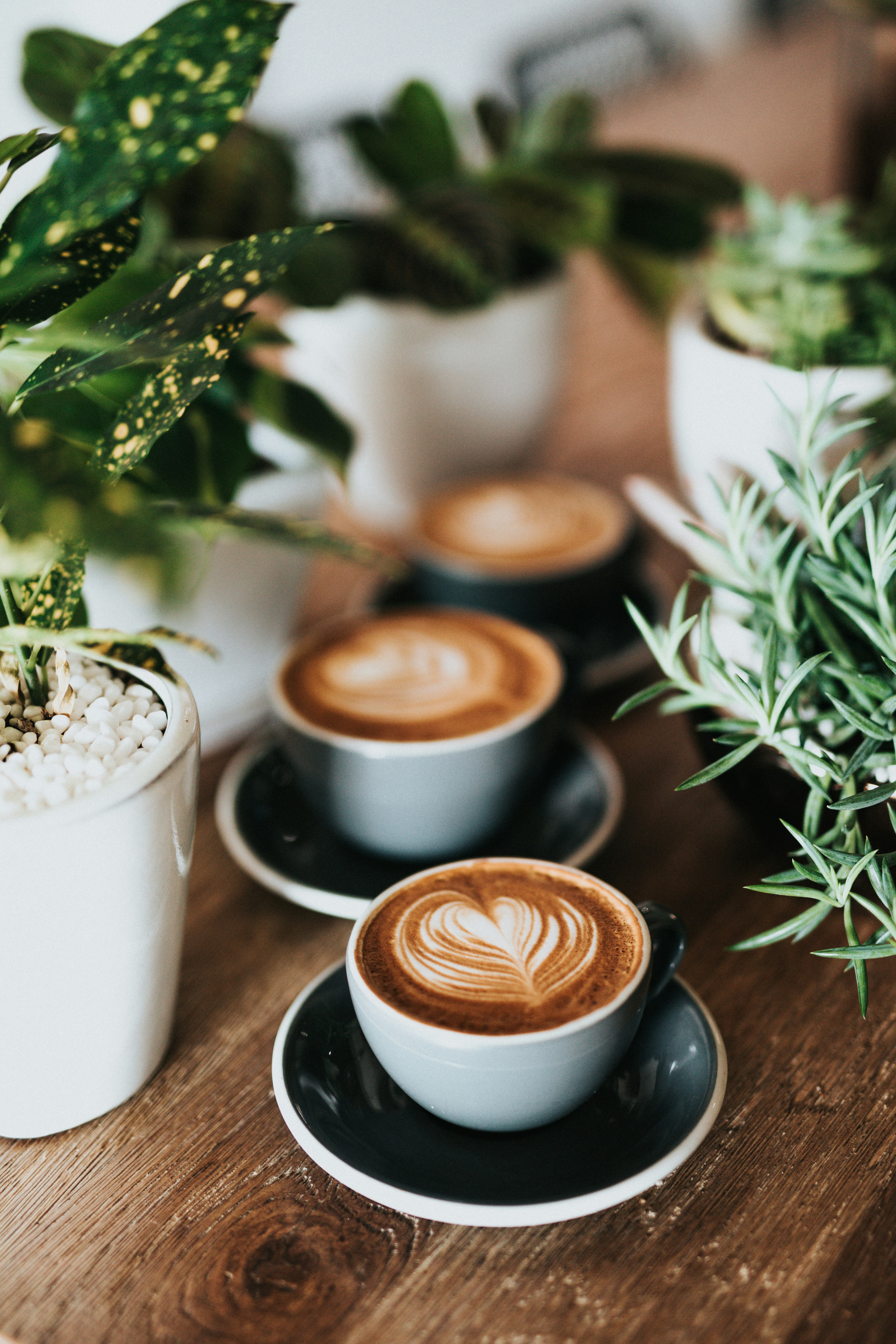 Latte coffee